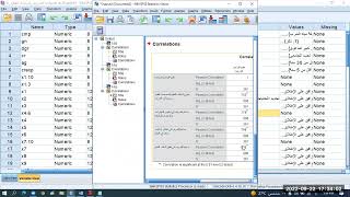 قياس صدق الاتساق الداخلي  في برنامج SPSS