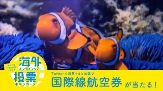 ケアンズ水族館からベテランガイドに学ぶグレートバリアリーフ【あなたの行きたい国はどこ？海外オンラインツアー投票キャンペーン】