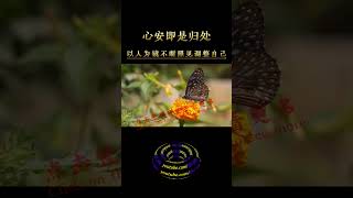 问题可能是别人的 , 千万记住 , 别人都是我们的镜子  #shorts #修行 #开悟 #觉醒 #智慧