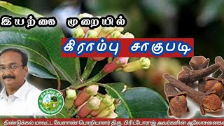 கிராம்பு சாகுபடி 🌿Clove Cultivation Tamil 🌿பிரிட்டோராஜ்