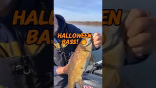 Halloween Smallmouth Bass || Extremely rare Pumpkin Bass #halloween #bassfishing #shorts