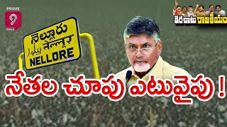 తెలుగు తమ్ముళ్ల వ్యూహాలు దేనికోసం ? | Terachatu Rajakiyam| Prime9 News