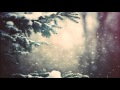 Koda - staying