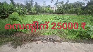 6 cent house plots price 250000 per cent thuravoor Angamaly 8921264378 own first resltors