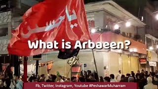 What is Arbaeen Special Documentary Part 1
