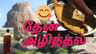 தேன் எடுக்கும் முறை | காட்டில் தேனெடுத்தல் | Destruction of Honey at Villupuram |