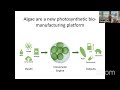 photosynthetic bio manufacturing in green algae the future of food and biomaterials