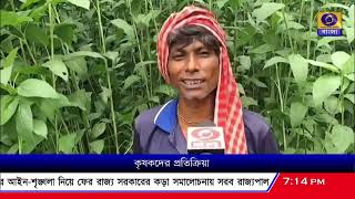 ন্যূনতম সহায়ক মূল্য বৃদ্ধিতে খুশি মুর্শিদাবাদের পাট চাষিরা