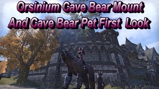 ESO: First Look at the Cave Bear Mount and Pet Cub