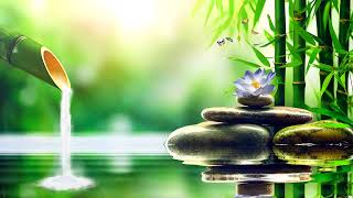 Healing Music for Anxiety Disorders , Reduce Stress, Calming, Meditation Music, Nature Sounds,Bamboo