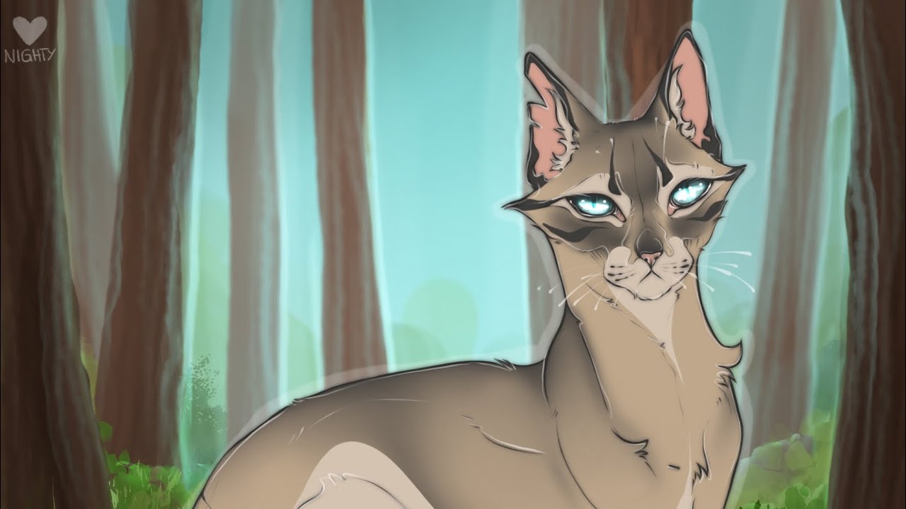 Longtail Speedpaint Youtube