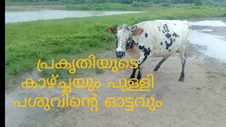 മനോഹരം അതി മനോഹരം