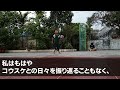 【スカッとする話】10年前姉と駆け落ちした夫 「妻と実家に帰省するから お前は実家から出ていけ」 私「え？知らないの？」 衝撃事実を伝えた結果【修羅場】