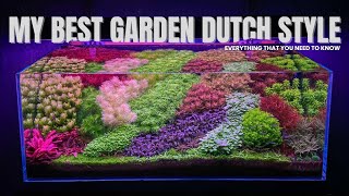 120cm Dutch-Style Garden Setup: Day 1 to 95 (No Dark Start Method)