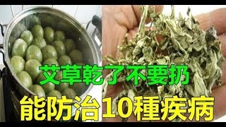 艾叶干了别丢 能缓解10几种疾病