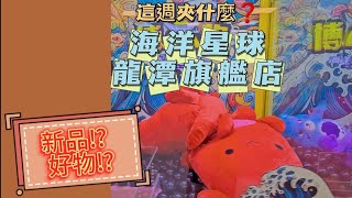 【海洋星球樂園】龍潭旗艦店 這週夾什麼 ❓ 新品❗ 好物❗