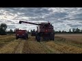 IH 1480 Axial-Flow, 6,1m pöydällä - Ekoja puintitestejä