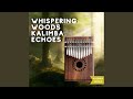 Kalimba