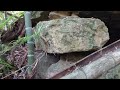 板状の巨大な天井石　兵庫県姫路市の上伊勢古墳　giant sized ceiling stone（kamiise kofun tumulus）