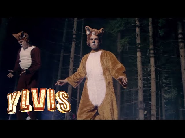 Ylvis - The Fox (What Does The Fox Say?) [Official Music Video HD ...