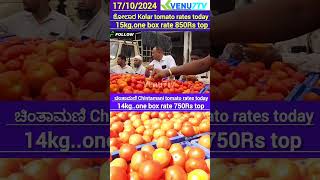 #today Chintamani tomato rates #Tomato rates #Kolar tomato market rates #Venu7tv #Chintamani #Kolar