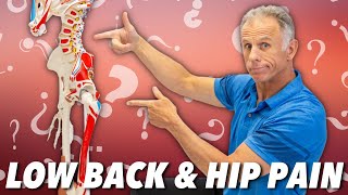 Low Back & Hip Pain? Is it Nerve, Muscle, or Joint? How to Tell.