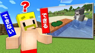 【マイクラ】この裏技できるできない！？