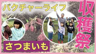 【バクチャーライフ】収穫祭！！ 子どもたちと、バクチャー入りの畑で育てたさつまいもを収穫しました！