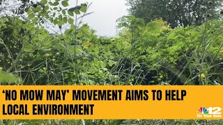 ‘No Mow May’ movement aims to help local environment