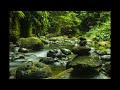 abraham hicks ~ appreciating contrast ~ fine tuning step 5