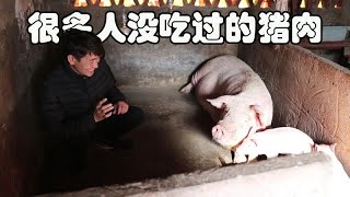 How big is the difference between 5000 yuan and 200 kilograms of farm pigs compared with feed pigs?