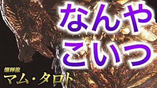 【MHW実況】アプデ第２弾や、マムタロトについて喋りまくるw【モンハンワールド】