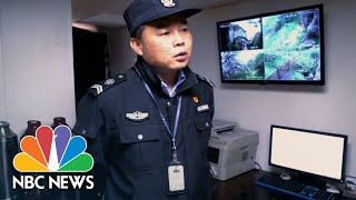 The 19th Guardian Of The Pine: A Famous Chinese Tree And Its Bodyguard | NBC News