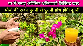 Homemade Organic liquid plant Fertilizer , रूकी ग्रोथ और मरते पौधो में जान डाल देगी ये खाद ।।