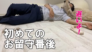 【お迎え3日目】パグ子犬の初めてのお留守番！再会の瞬間が嬉しすぎたww [Pug]