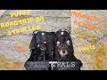 PAWS & PALS PUPPY STROLLER UNBOXING/REVIEW *NOT SPONSORED* but sponse me?