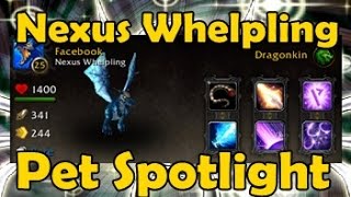 Nexus Whelpling - Pet Spotlight