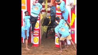 Jallikattu Kalai mass | தூக்கி எரியுது பாரு🔥 Jallikattu | #Pongal2025 #Jallikattu #Youtube