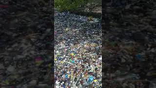 Huge waves of plastic destroying the ocean