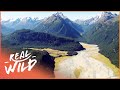 Life On The Rangitata River (Wildlife Documentary) | Wild River Journeys