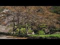 材木岩公園「秋の景色」