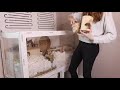 setting up a new hamster enclosure