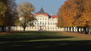 Pałac w Rogalinie. Palace in Rogalin. Le château de Rogalin