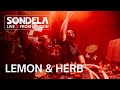 Lemon & Herb | Sondela LIVE from London 29.11.2024 | Afro-House/Afro-Tech Mix