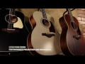 ibanez acoustic artwood new aw300 series ac320 ac340 aw360