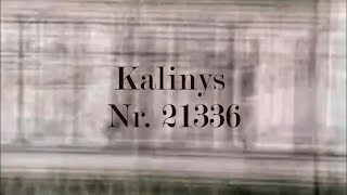 Kalinys Nr. 21336 | Marijampolės Sūduvos gimnazija