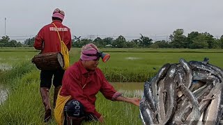 หมานอีกแล้ว!!!!ใส่เบ็ดซ้ำหมายเดิมตามคำเรียกร้อง ทั้งหลุดทั้งถอนคันเบ็ด ท่ามกลางสายฝนแบบนี้ต้องมาอีก