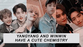 Yangyang and Winwin have a cute chemistry.