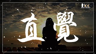 直覺 superluckyqi 動態歌詞 Pinyin lyrics