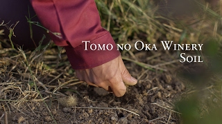 Craftsmanship at SUNTORY TOMI NO OKA WINERY, Yamanashi, Japan –Soil (30s)